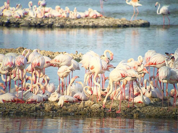 marzamemisicilia - Instagram