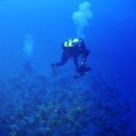 I carabinieri sommozzatori recuperano alcune anfore di epoca romana al largo di Genova, in una foto distribuita dall'ufficio stampa il 17 maggio 2013.
ANSA/ CARABINIERI +++ HO - NO SALES - EDITORIAL USE ONLY +++