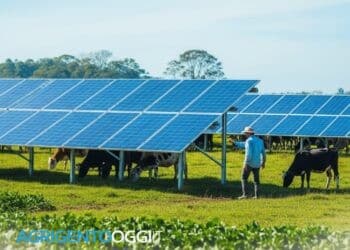 agrivoltaico