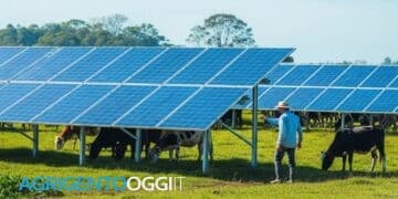 agrivoltaico