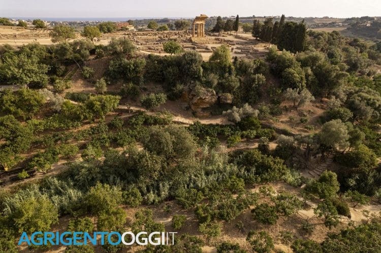 Giardino della Kolymbethra - Luglio 2023