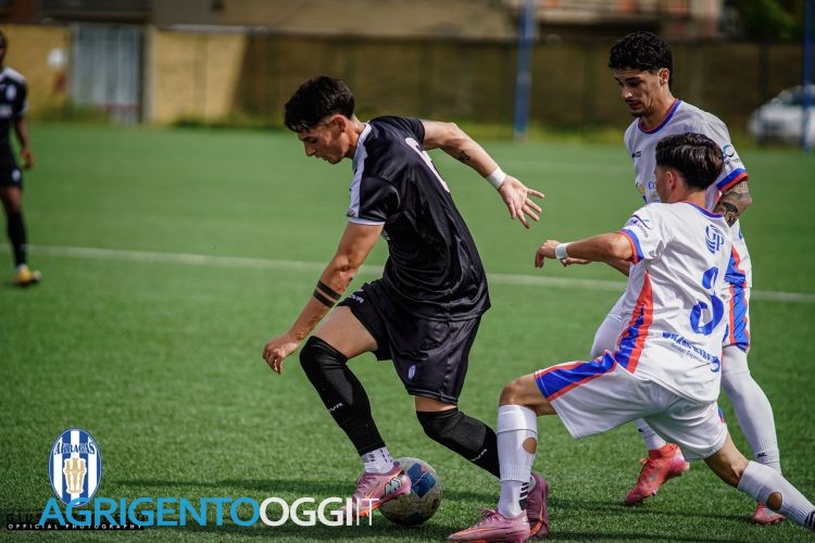 Foto Giuseppe Greco